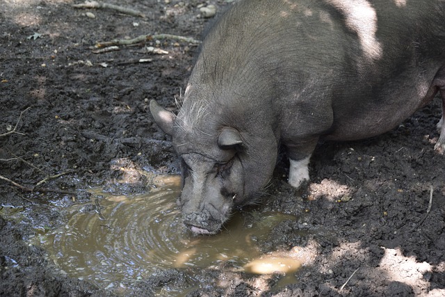 应变的思考 应变的思考