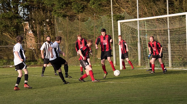 道主展現出 道主展現出