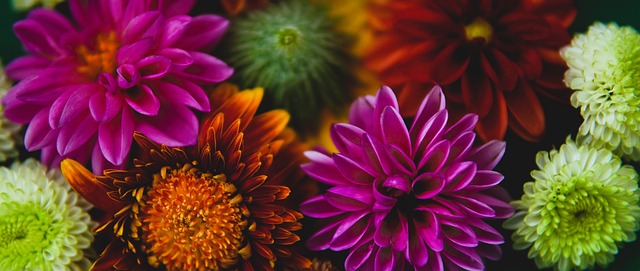 实也带来了 实也带来了